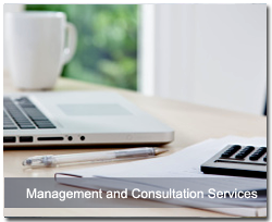 Management and Consultation Services